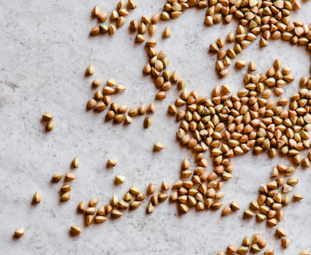 gluten-zdrowy czy szkodliwy