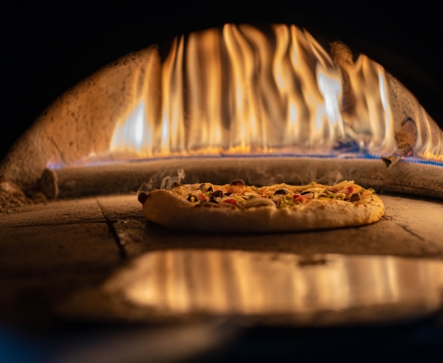 pexels-dhally-romy-13736876 (1)