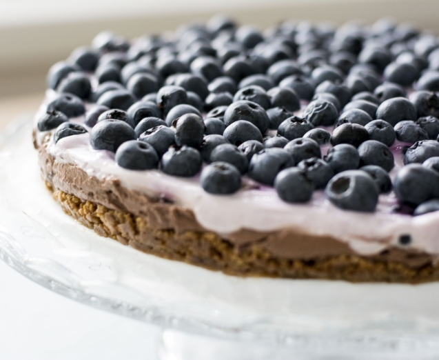 blueberries-3946230_1280